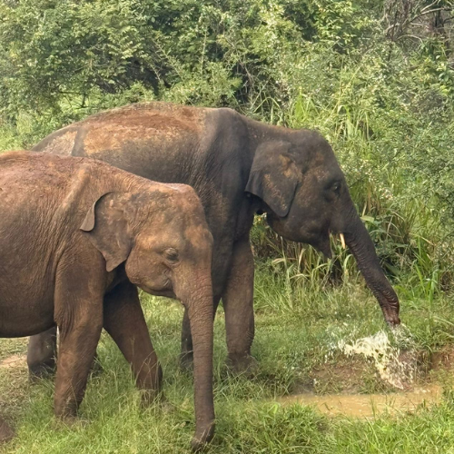 Ontwerp zonder titel (1)